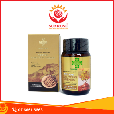 TERESA HERBS TIBETAN CORDY abcCEPS SINENSIS – ĐÔNG TRÙNG HẠ THẢO TÂY TẠNG